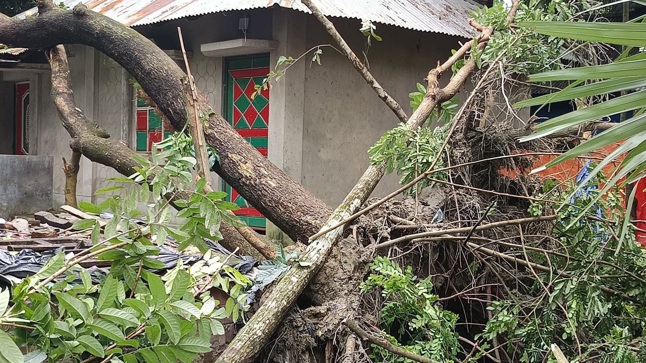 ফেনীতে ৪০ সেকেন্ডের টর্নেডো, লণ্ডভণ্ড স্বরাজপুর গ্রাম