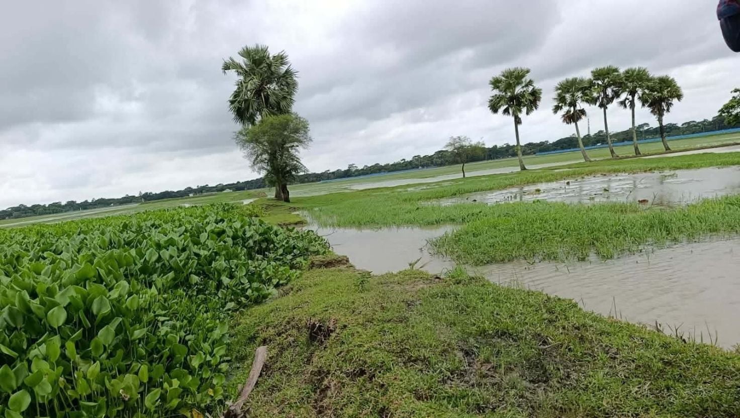 তালতলীতে দখল-দূষণে অস্তিত্ব সংকটে 'আমখোলা খাল', বিপাকে হাজারো কৃষক 