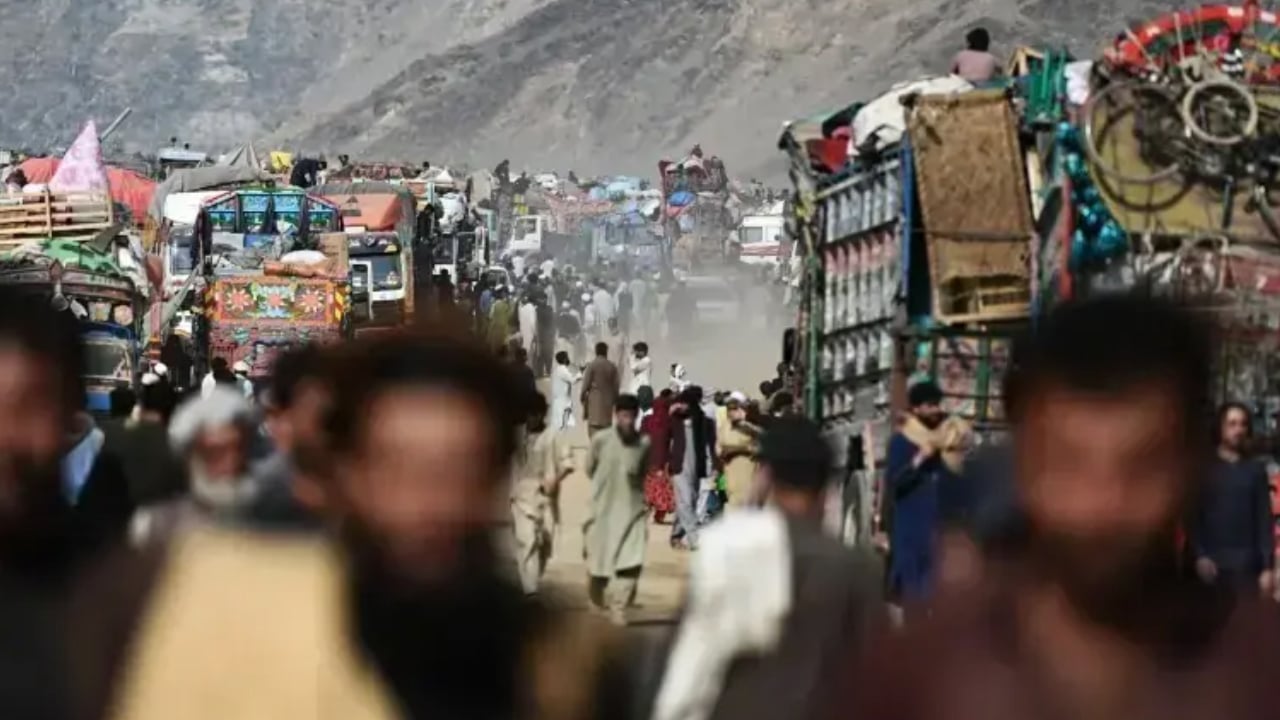 আফগানদের জোরপূর্বক দেশে ফেরত পাঠনো বন্ধের আহ্বান অ্যামনেস্টির