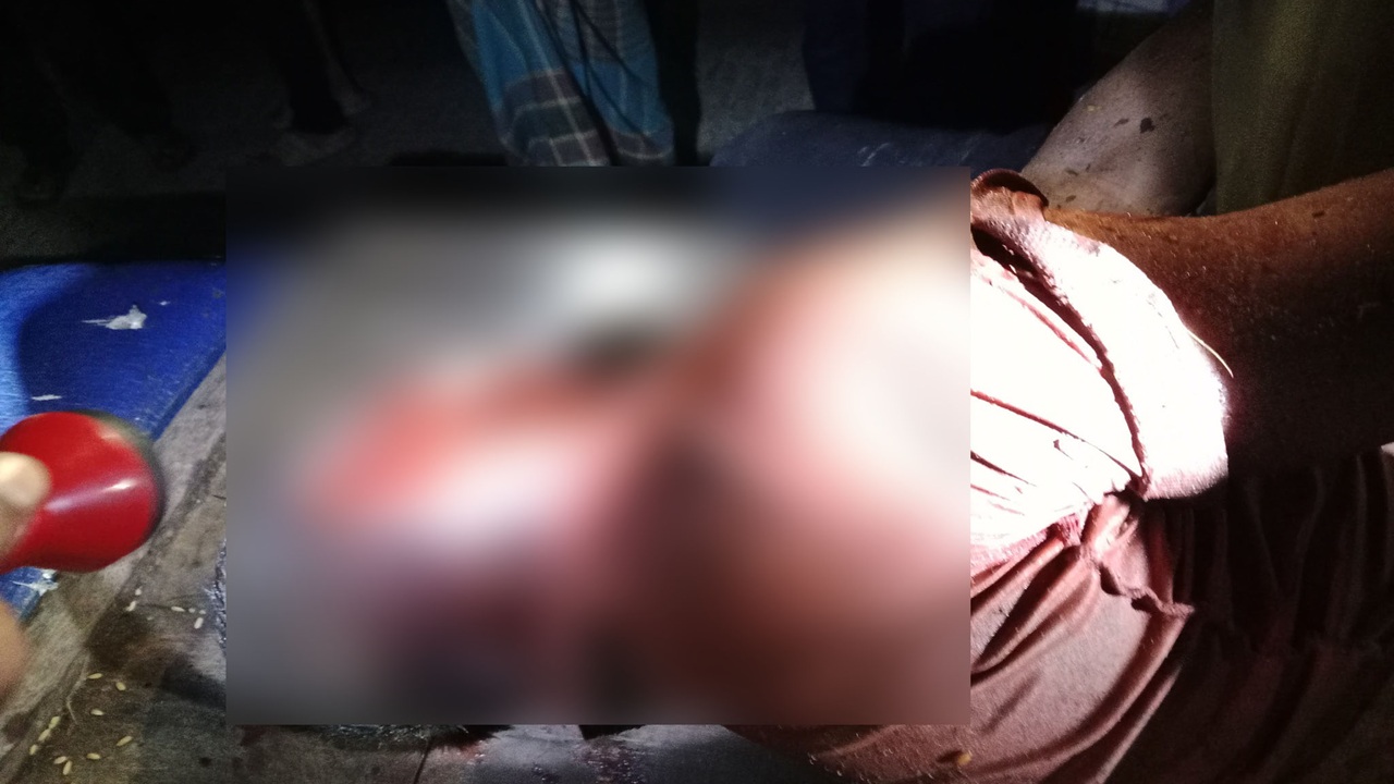 ঝিনাইগাতীতে বুনোহাতির আক্রমণে ভ্যানচালক নিহত