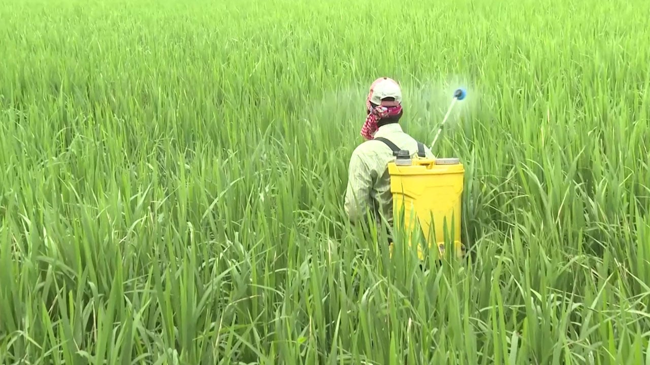 বালাইনাশকের কাঁচামাল আমদানিতে শূন্য শুল্ক প্রতিশ্রুতিতেই সীমাবদ্ধ