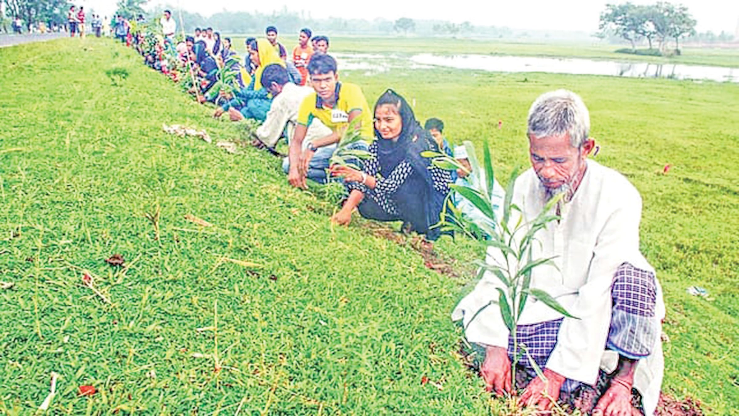 সেই আড়াই লাখ চারা গাছের আড়াই হাজারও নেই