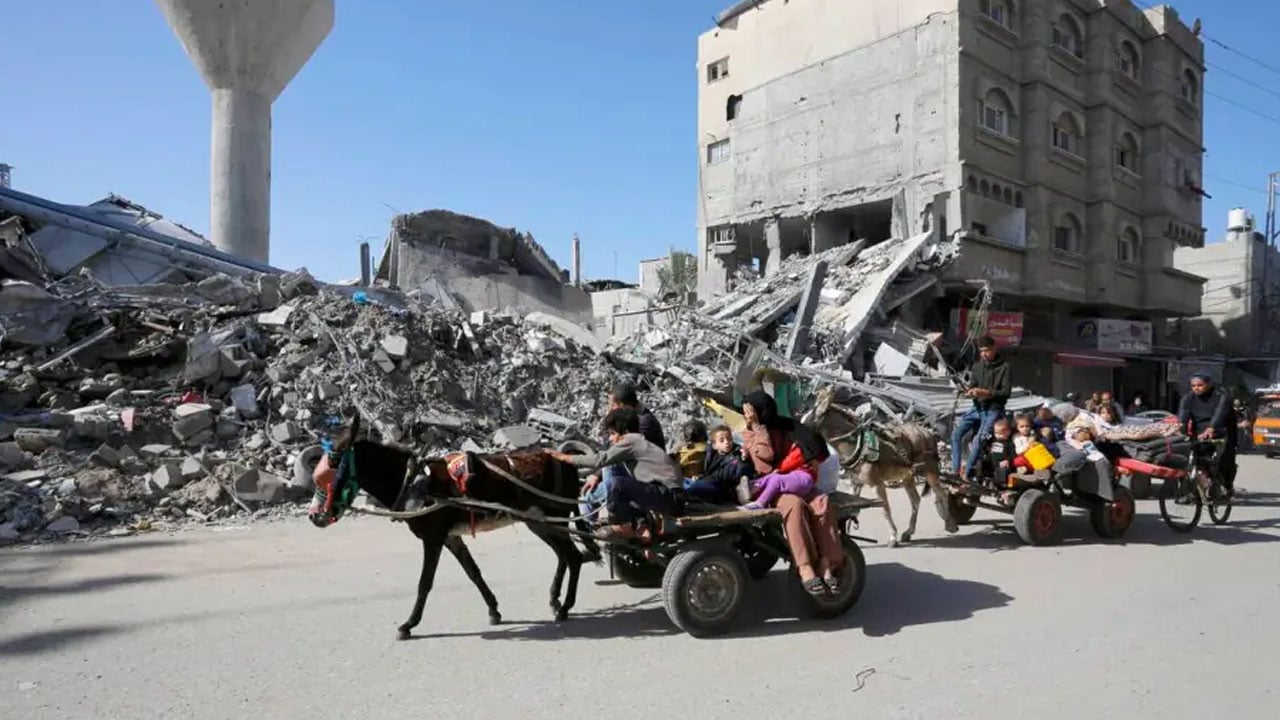 গাজার শিশুরা নয় গাধারা স্বাগত, জার্মানির ডাবল স্ট্যান্ডার্ড