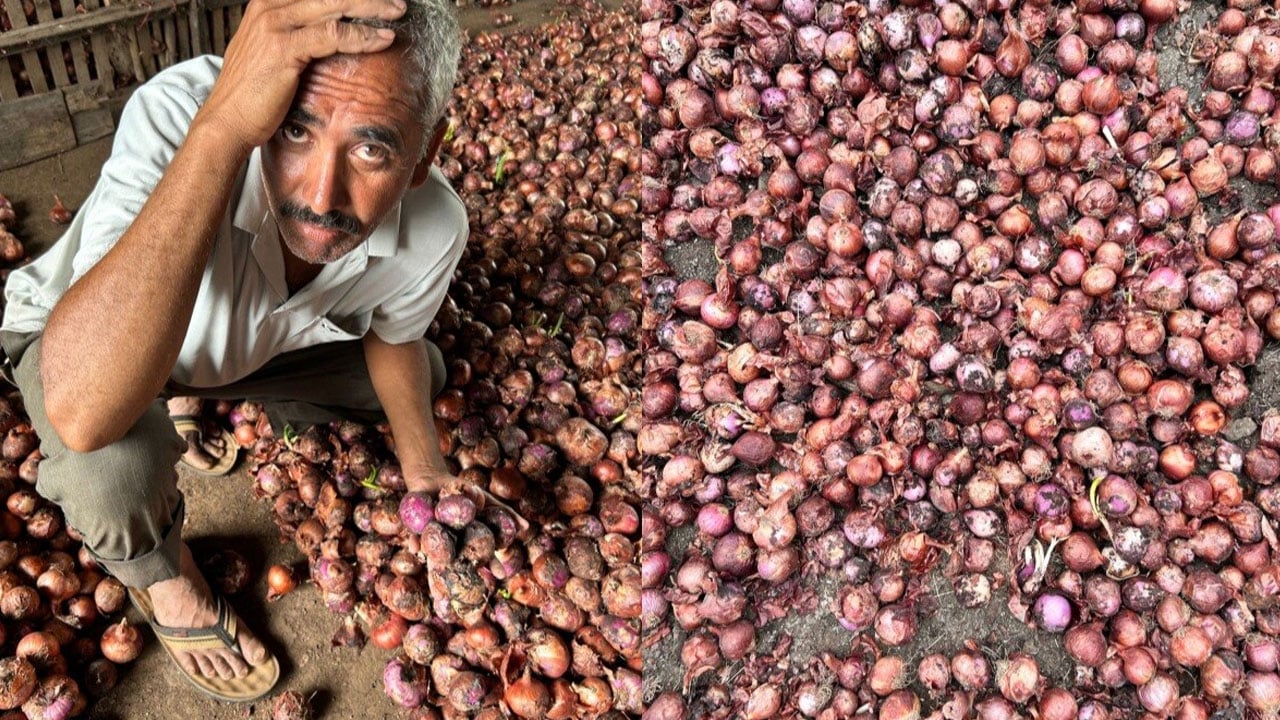ঢাকার সিদ্ধান্তে ভারতের পেঁয়াজ চাষি ও ব্যবসায়ীদের কান্না