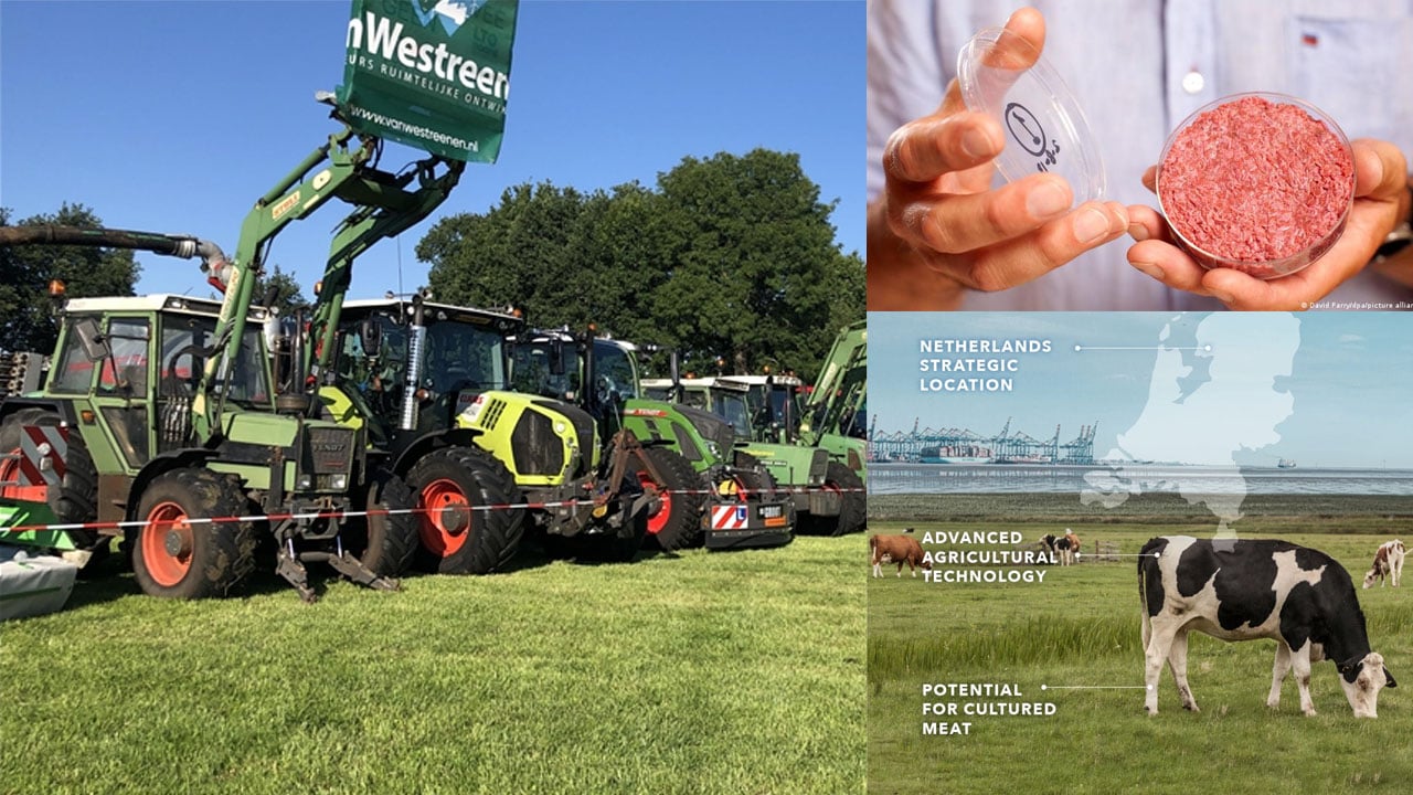 চালু হচ্ছে বিশ্বের প্রথম ল্যাব-উৎপাদিত মাংসের খামার, কোথায়