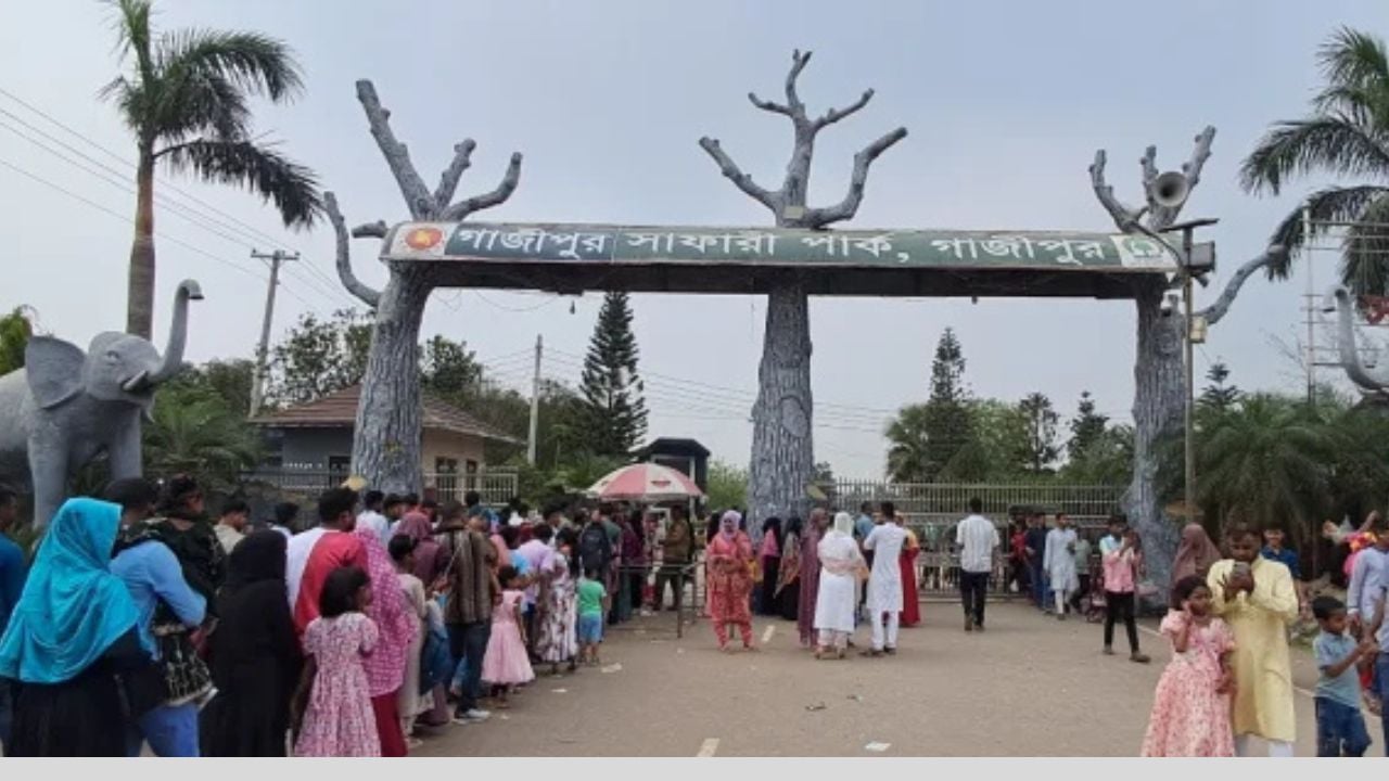 ঈদে গাজীপুর সাফারি পার্কে নতুন ৩ সিংহ, বেড়েছে দর্শনার্থীদের কৌতূহল