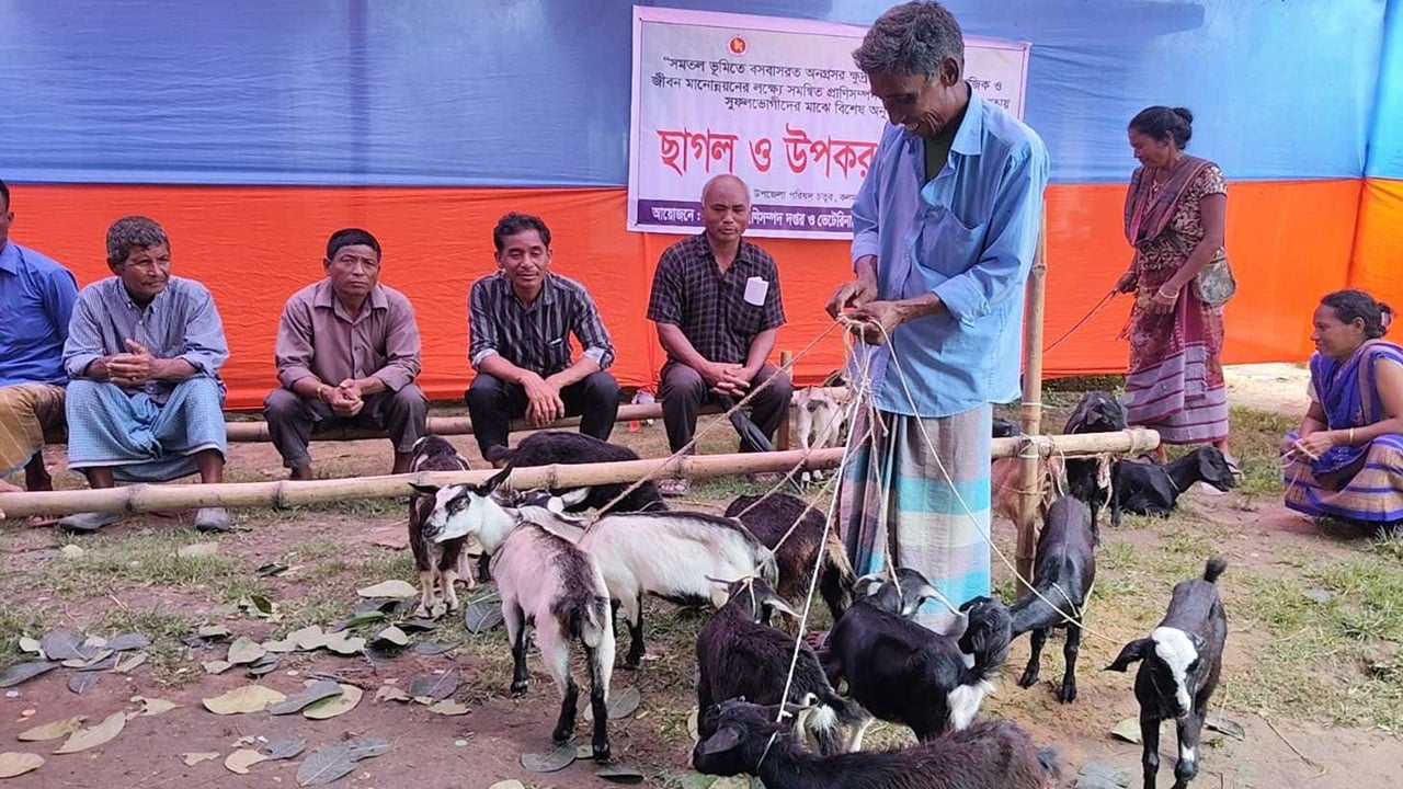 ছাগল বিতরণে অনিয়মের অভিযোগ, মিটারে লোহার রিং ঢুকিয়ে বাড়ানো হয় ওজন