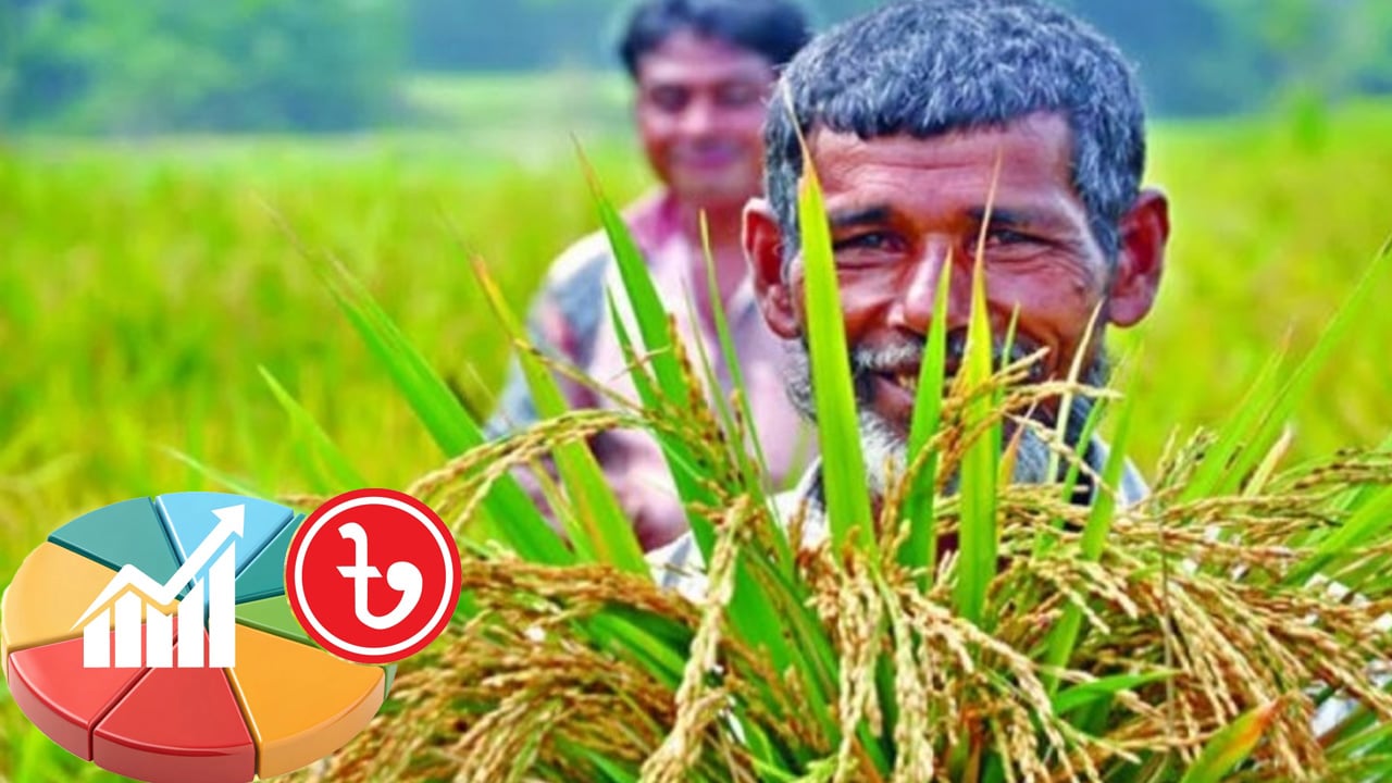 কৃষিতে ভ্যাট-শুল্ক ছাড়ের বন্যা, কাজুবাদাম ও পাঙ্গাস আমদানিতে কড়াকড়ি