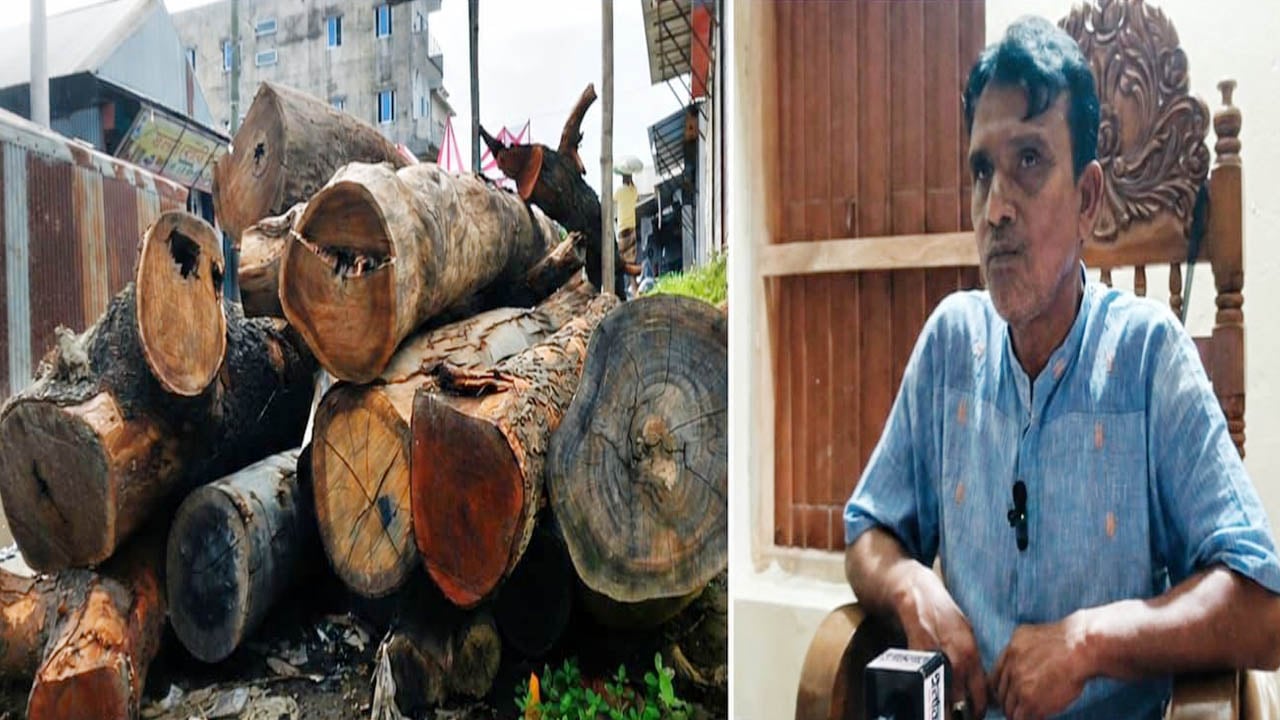 পরিষদ চত্বরের গাছ কাটার অভিযোগে আ.লীগ নেতা ইউপি চেয়ারম্যানকে শোকজ
