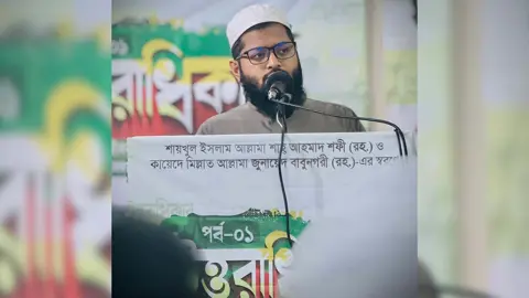 আল্লামা শফী ও বাবুনগরীর আদর্শ ধারণ করে ঐক্যবদ্ধভাবে এগিয়ে যাওয়ার আহ্বান
