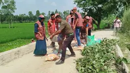 স্বেচ্ছাশ্রমে অকেজো সেতু সংস্কারে আনসার-ভিডিপি সদস্যরা