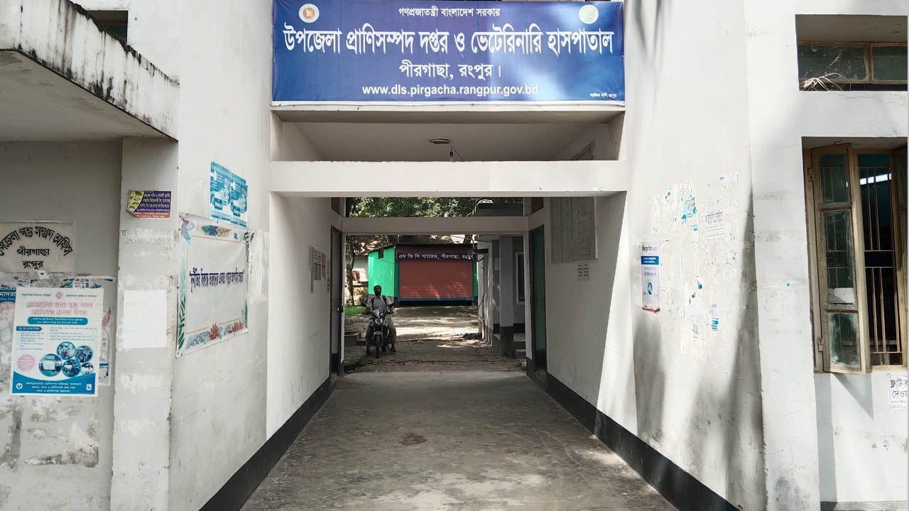 পীরগাছায় অ্যানথ্রাক্স আতঙ্ক, উপসর্গ নিয়ে দুজনের মৃত্যু
