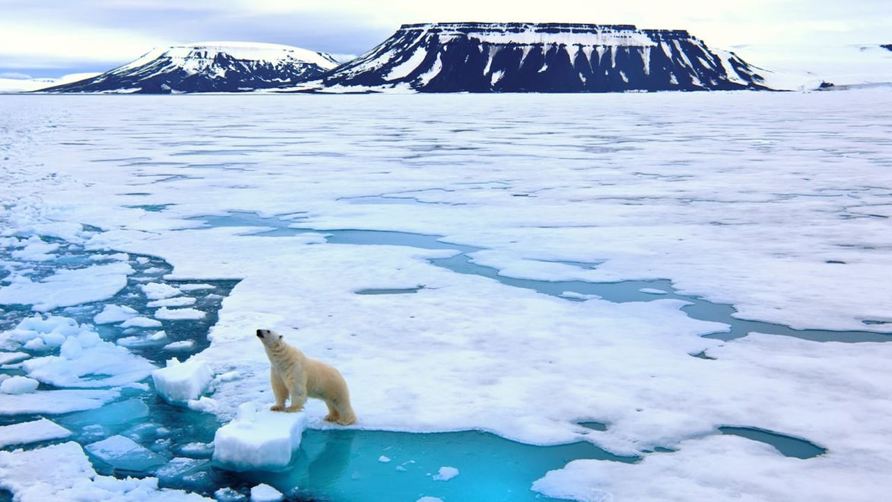 ১২৫ বছরের মধ্যে সবচেয়ে উষ্ণতম বছর পার করেছে আর্কটিক