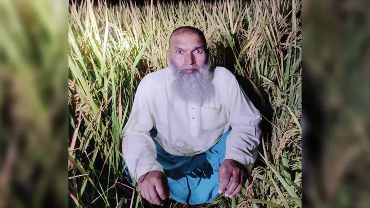 গ্রেপ্তার এড়াতে ধানখেতে আত্মগোপন, তবুও রক্ষা পেলেন না আ.লীগ নেতা