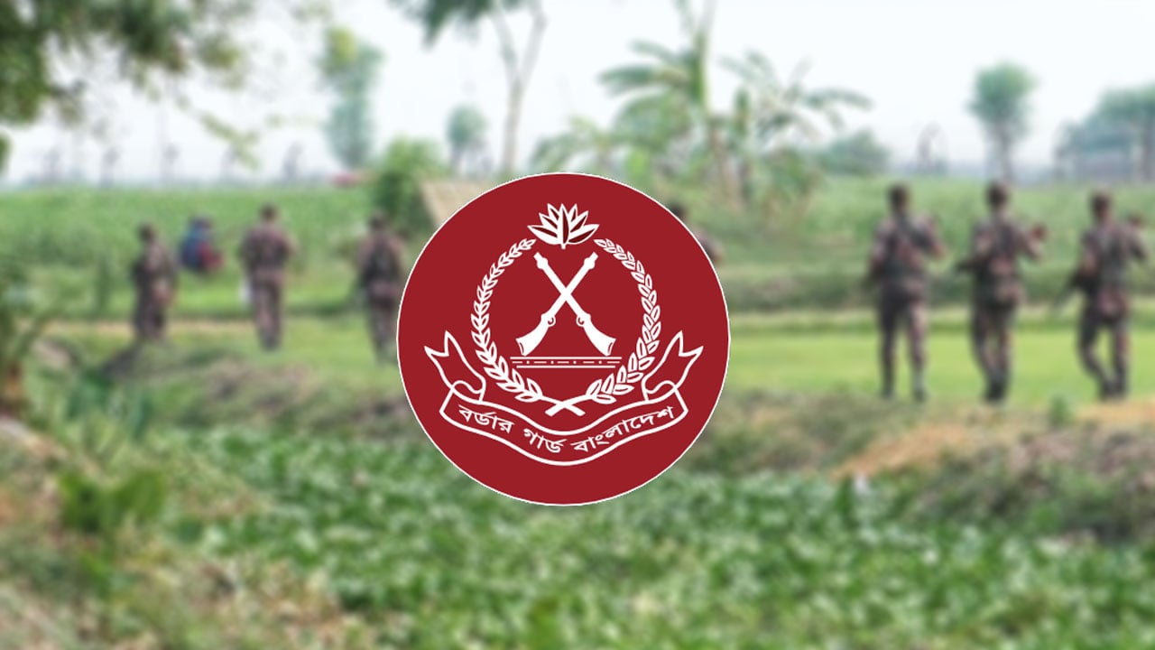 সীমান্তে বিজিবির গুলিতে ভারতীয় চোরাকারবারি আহত