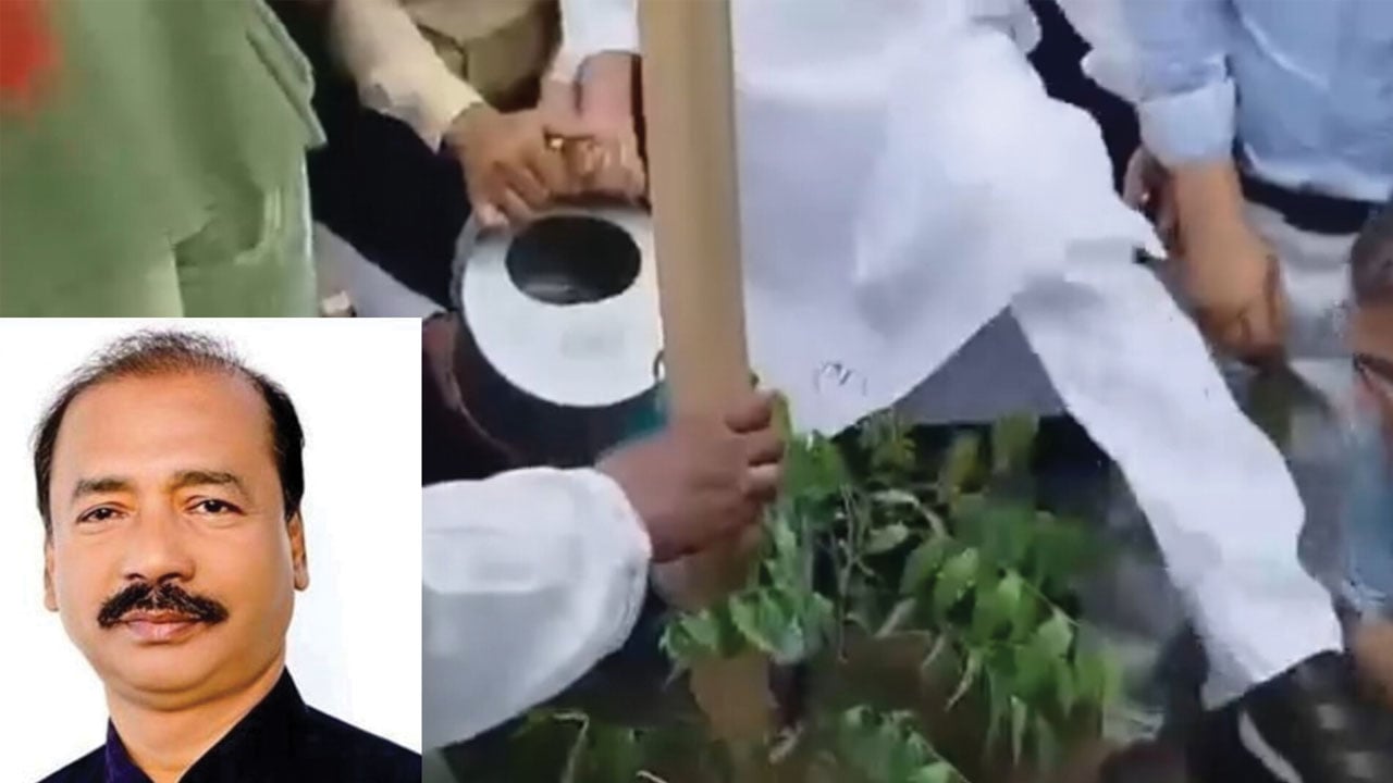 বৃক্ষরোপণ কর্মসূচিতে বিএনপি নেতাকে লাথি দিলেন এমপি