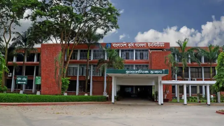 বাংলাদেশ কৃষি গবেষণা ইনস্টিটিউটে বড় নিয়োগ, কীভাবে আবেদন করবেন
