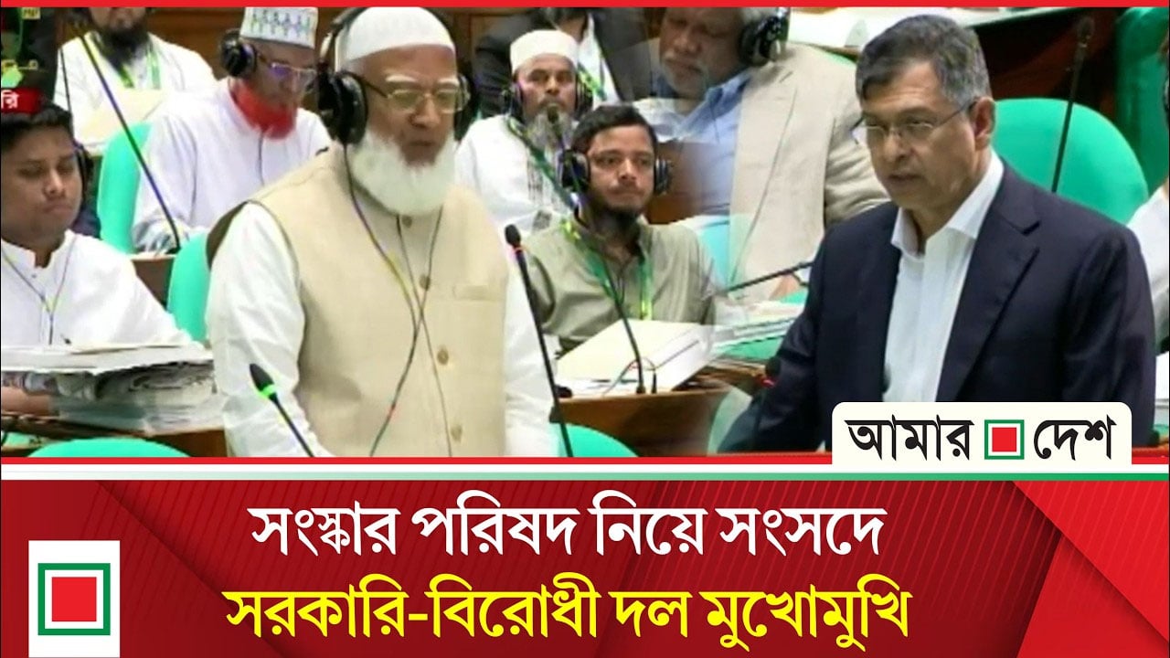 গণভোটকে সম্মান দেয়ার দাবি বিরোধী দলের, সংবিধানের বাইরে যেতে পারব না বলল সরকারি দল