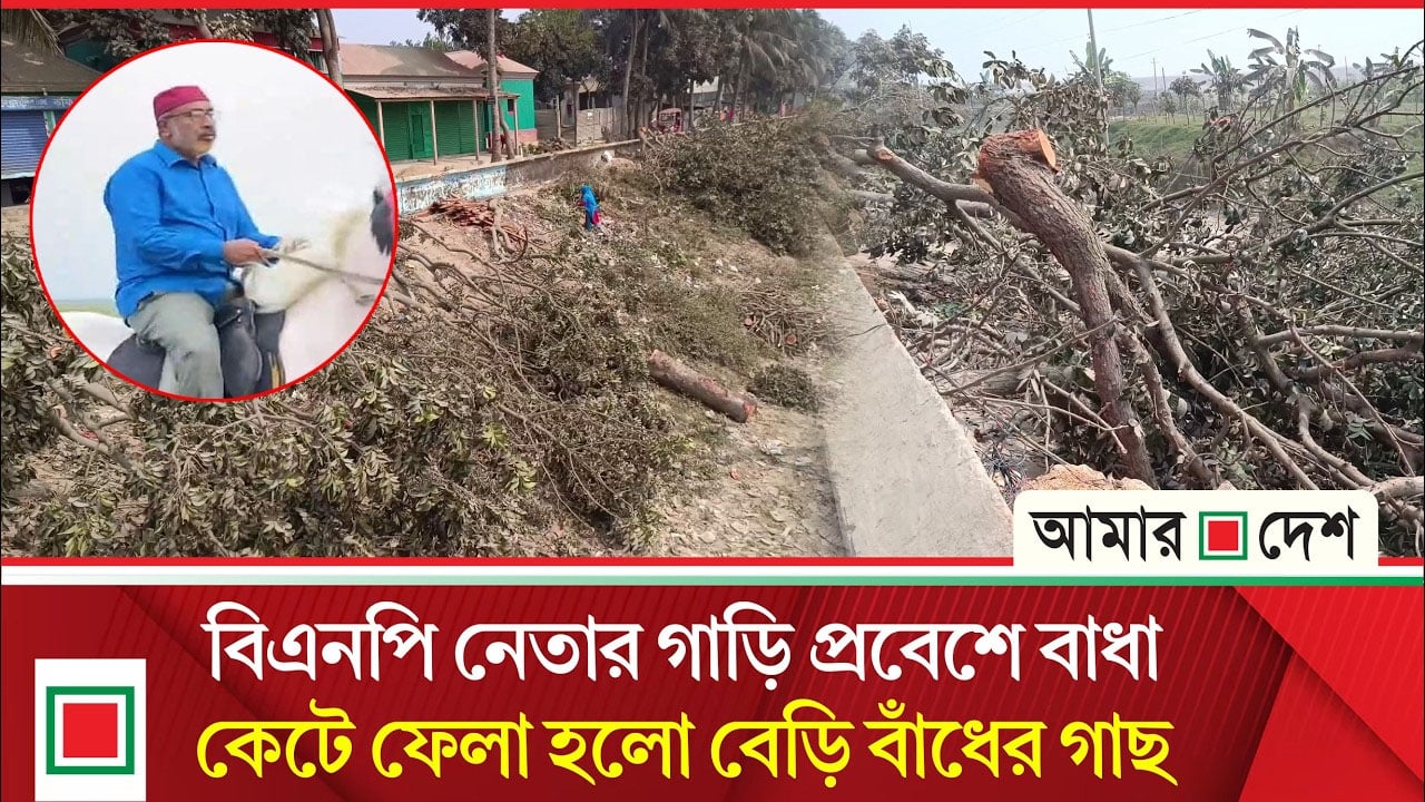 বেড়ি বাঁধের ২০টি গাছ কে/টে সামালোচানার মুখে বিএনপি নেতা