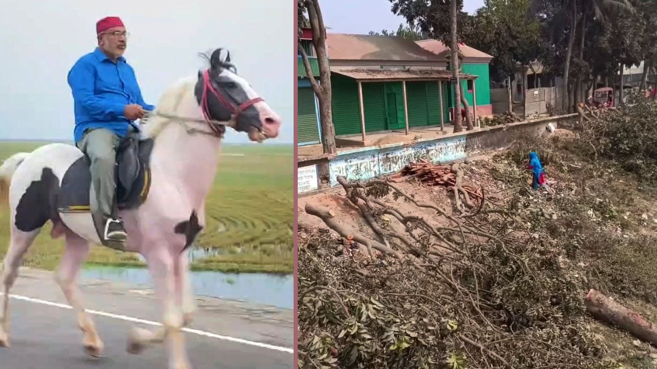 বেড়িবাঁধের গাছ কেটে নেয়া সেই বিএনপি নেতার পদ স্থগিত