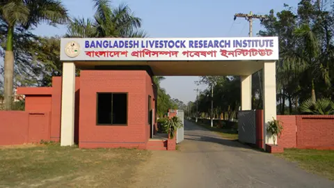 বিএলআরআইয়ে প্রকল্পের নামে অনিয়ম-দুর্নীতির অভিযোগ, তদন্ত প্রতিবেদন প্রকাশের দাবি
