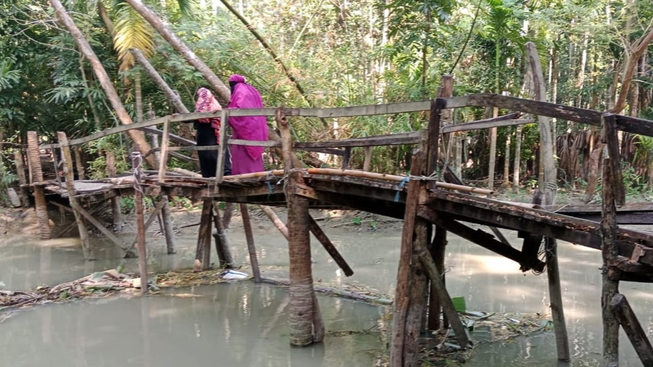নড়বড়ে কাঠের সেতু ভরসা, ঝুঁকি নিয়ে যাতায়াত