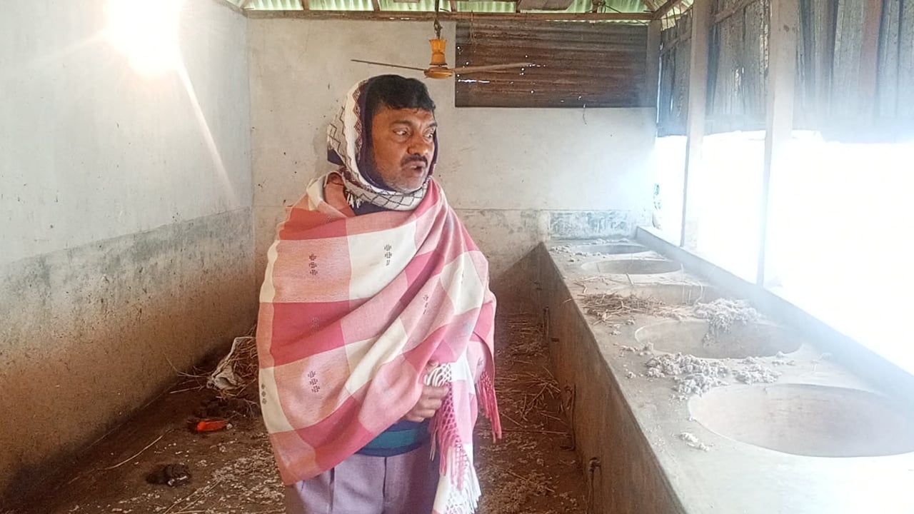 রাতের আঁধারে গোয়ালঘর ফাঁকা করল চোরচক্র, সর্বস্বান্ত কৃষক