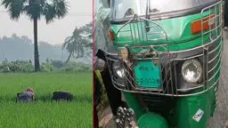 কক্সবাজার থেকে ফেরার পথে নিখোঁজ, ধানক্ষেতে মিলল কিশোরীর লাশ