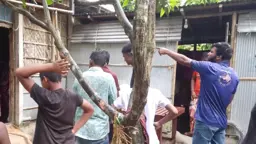 স্কুল থেকে ফিরেই গোয়ালঘরে, গরুর গুঁতায় শিক্ষিকার মৃত্যু
