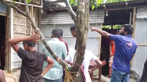 স্কুল থেকে ফিরেই গোয়ালঘরে, গরুর গুঁতায় শিক্ষিকার মৃত্যু
