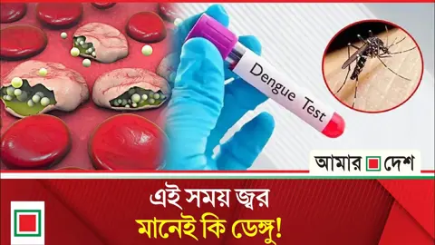 জেনে রাখুন ডেঙ্গু, ম্যালেরিয়া, চিকুনগুনিয়া, টাইফয়েড ও সাধারণ জ্বরের পার্থক্য