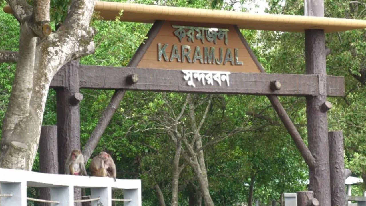 ঈদের ছুটিতে সুন্দরবনে পর্যটকদের উপচে পড়া ভিড়