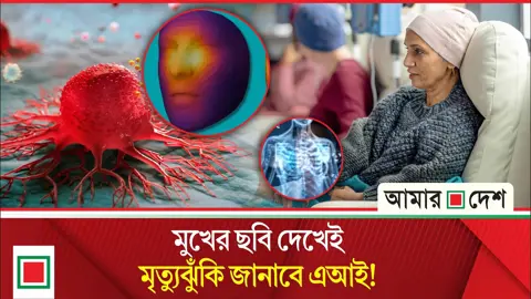 ৪ কোটিরও বেশি ছবি বিশ্লেষণ, এআই বলবে ক্যান্সার রোগীর আয়ু

