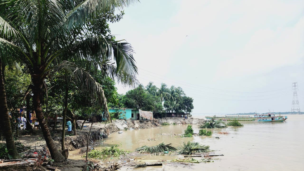 পদ্মার ভয়াল গ্রাসে নিঃস্ব জাজিরার শত পরিবার