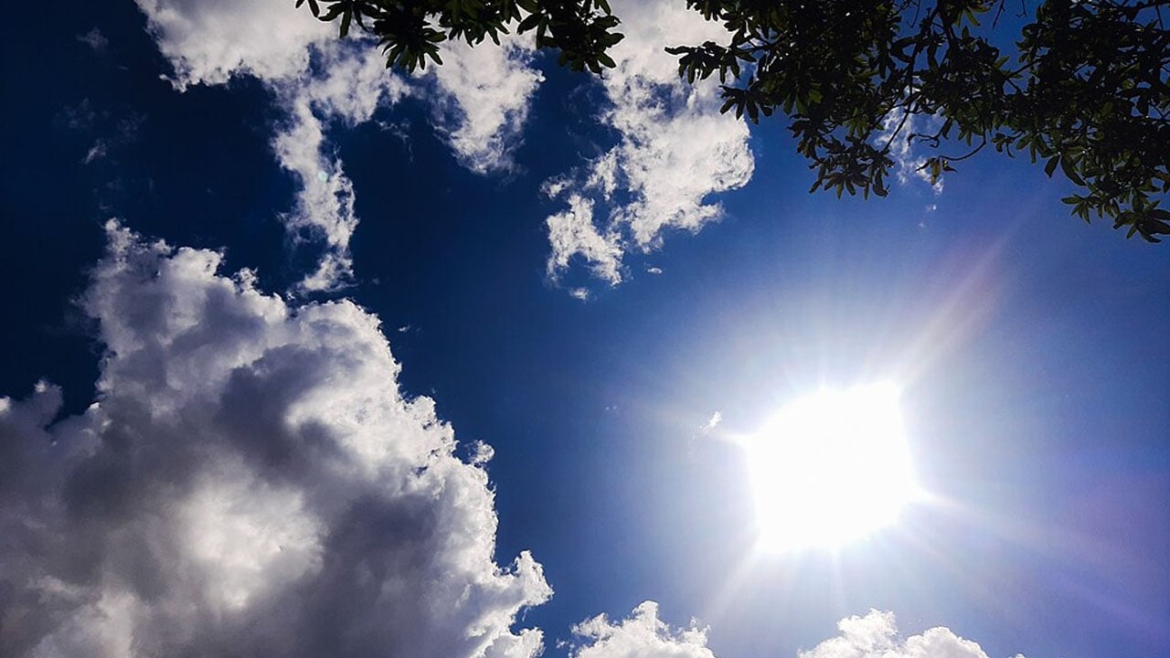 কুয়াশার আড়াল ভেঙে হাসল সূর্য