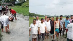 কৃষকের দুর্ভোগ লাঘবে জামায়াতের উদ্যোগে ঝিনিয়ার বিলে স্বেচ্ছাশ্রমে খাল খনন