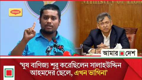 এই সরকারে বাপ পদে যায় ছেলেরা ব্যবসা শুরু করে: হাসনাত আব্দুল্লাহ
