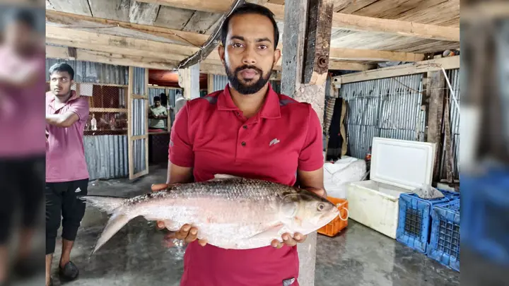৭ হাজার টাকায় বিক্রি হলো ইলিশ, ওজন কত