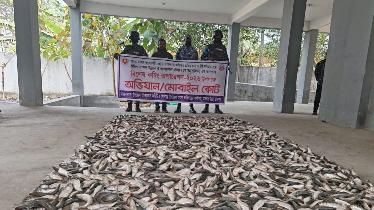 যাত্রীবাহী গাড়ি থেকে ২১ মণ জাটকা উদ্ধার