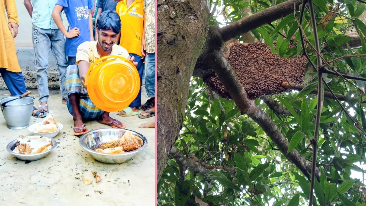 খাঁটি মধু পেতে ভরসা মৌয়াল খালেক