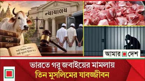 গরুকে ‘জগতের মা’ হিসেবে অভিহিত করে তিন মুসলিমকে যাবজ্জীবন দিল ভারতের আদালত