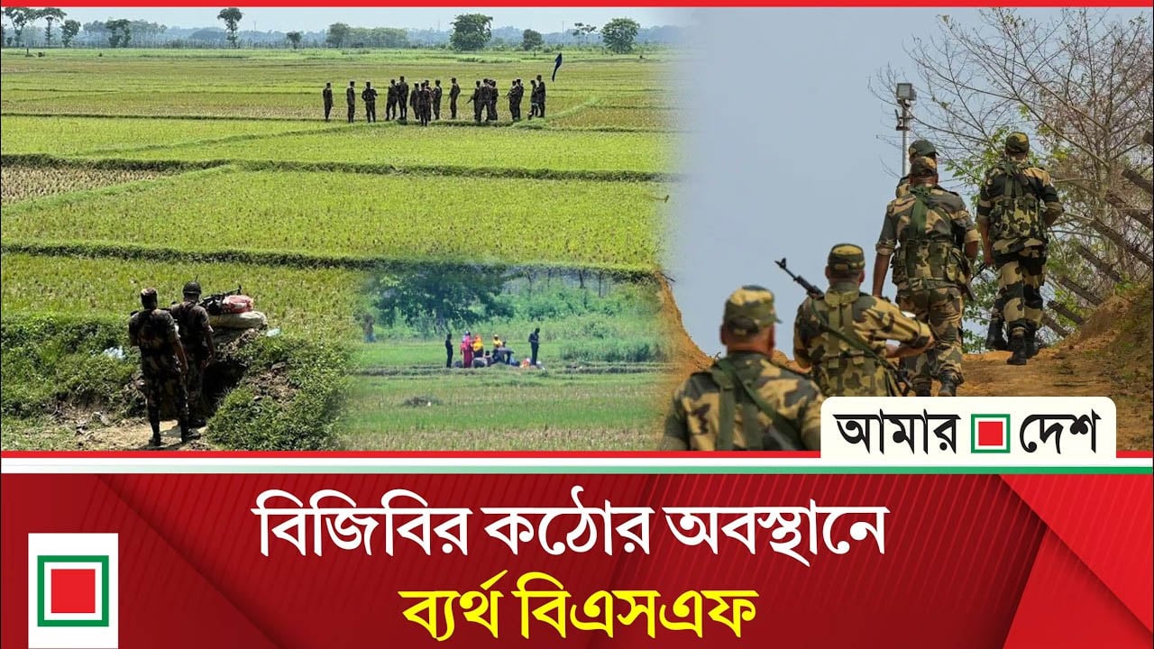 বেনাপোল সীমান্তে বিএসএফের পুশইনচেষ্টা রুখে দিলো বিজিবি
