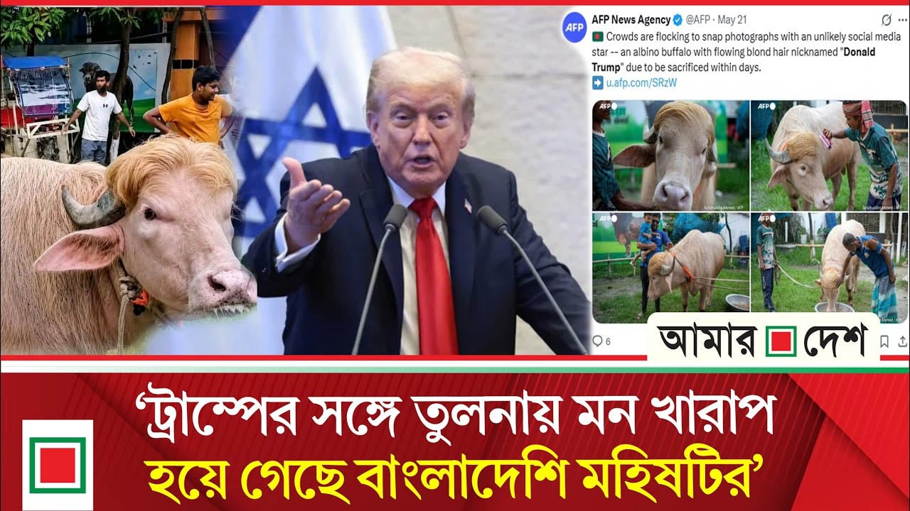 বাংলাদেশের ‘ডোনাল্ড ট্রাম্প’কে নিয়ে আসল ট্রাম্পকে খোঁচা দিল ইরান