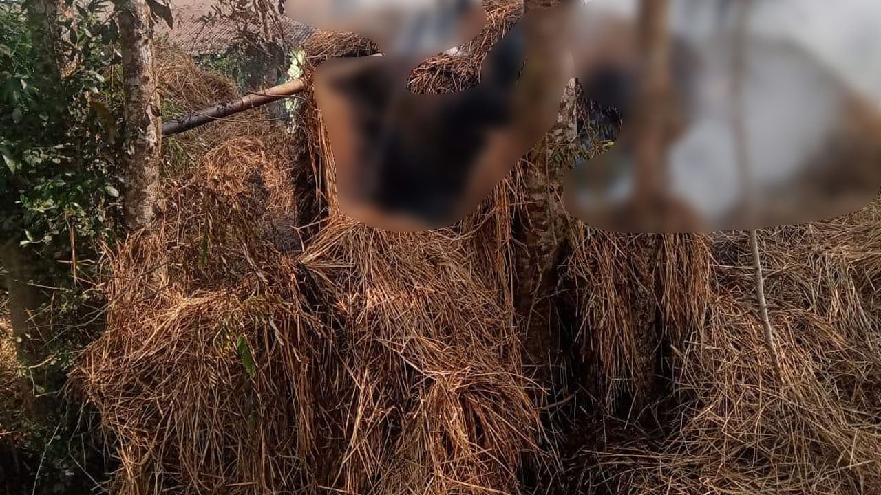 নির্বাচন-পরবর্তী সহিংসতা: জামায়াত নেতার খড়ের গাদা পুড়িয়ে দেওয়ার অভিযোগ