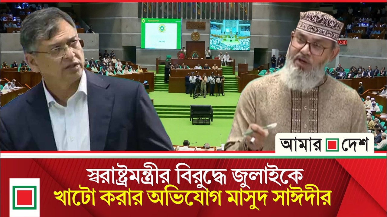 আবেগ বলে জুলাইকে খাটো করে দেখার কোনো সুযোগ নাই: মাসুদ সাঈদী