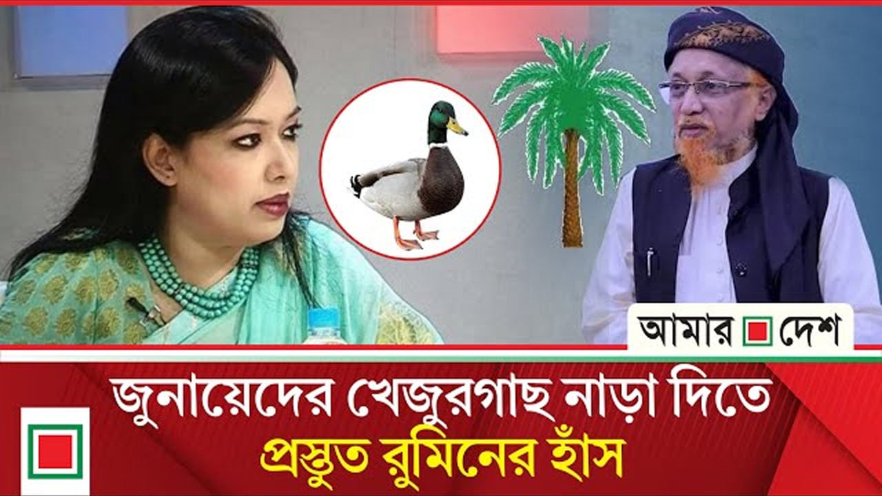 ব্রাহ্মণবাড়িয়া-২ আসনে বি'দ্রো'হী চ্যালেঞ্জের মুখে বিএনপি জোটের প্রার্থী