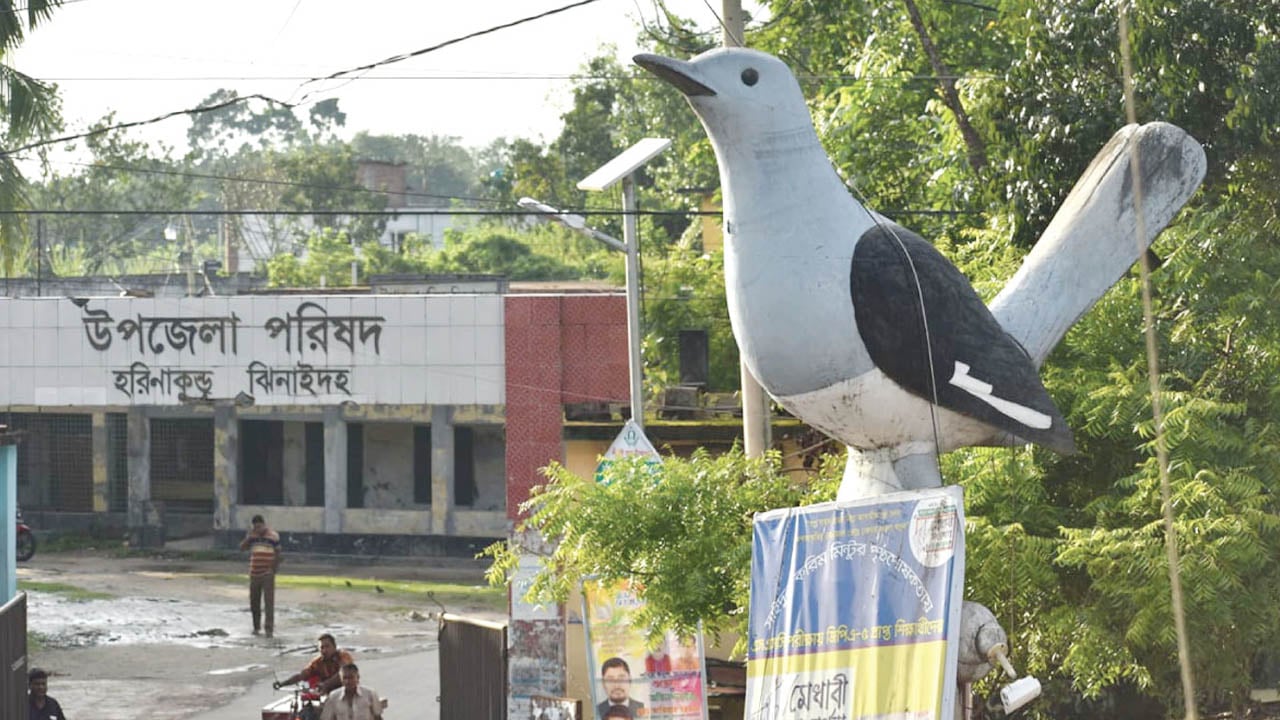 ঝিনাইদহে পানিতে ডুবে মাদ্রাসাছাত্রের মৃত্যু
