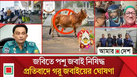 ‘সেফুদা’ থেকে গালি শিখেছে, আদালতকে পিপি