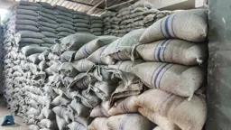 আ.লীগ নেতার গুদামে ৫ হাজার বস্তা সরকারি গম, ঘিরে রাখল স্থানীয়রা