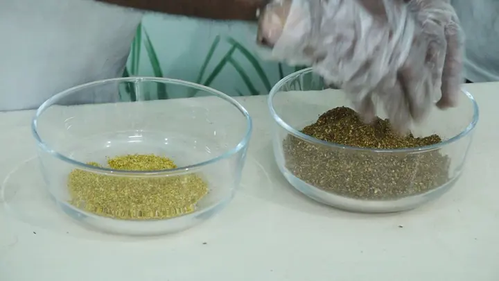 আমের খোসা থেকে তৈরি হচ্ছে চা